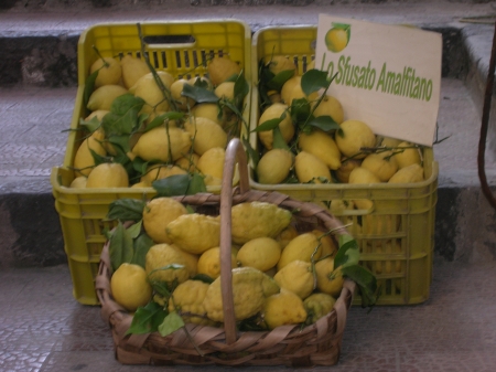 I limoni di Amalfi